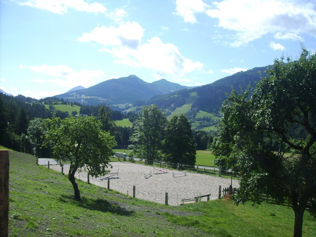 Saumerhof سخلادميخ المظهر الخارجي الصورة